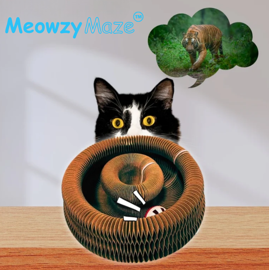 Meowzy Maze