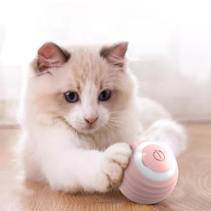 WhiskerWonder Cat Ball