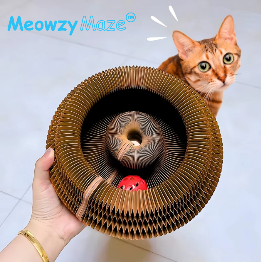 Meowzy Maze
