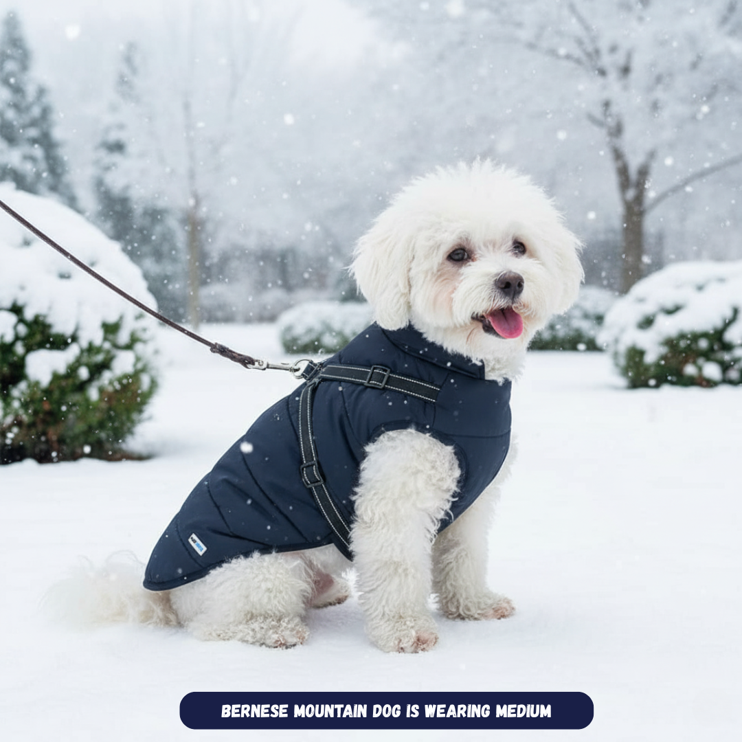 Winter Dog Harness