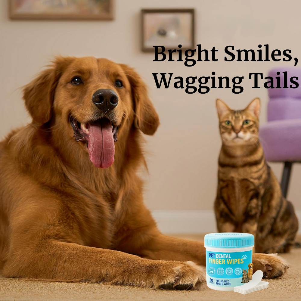 Pet Finger Dental Wipes