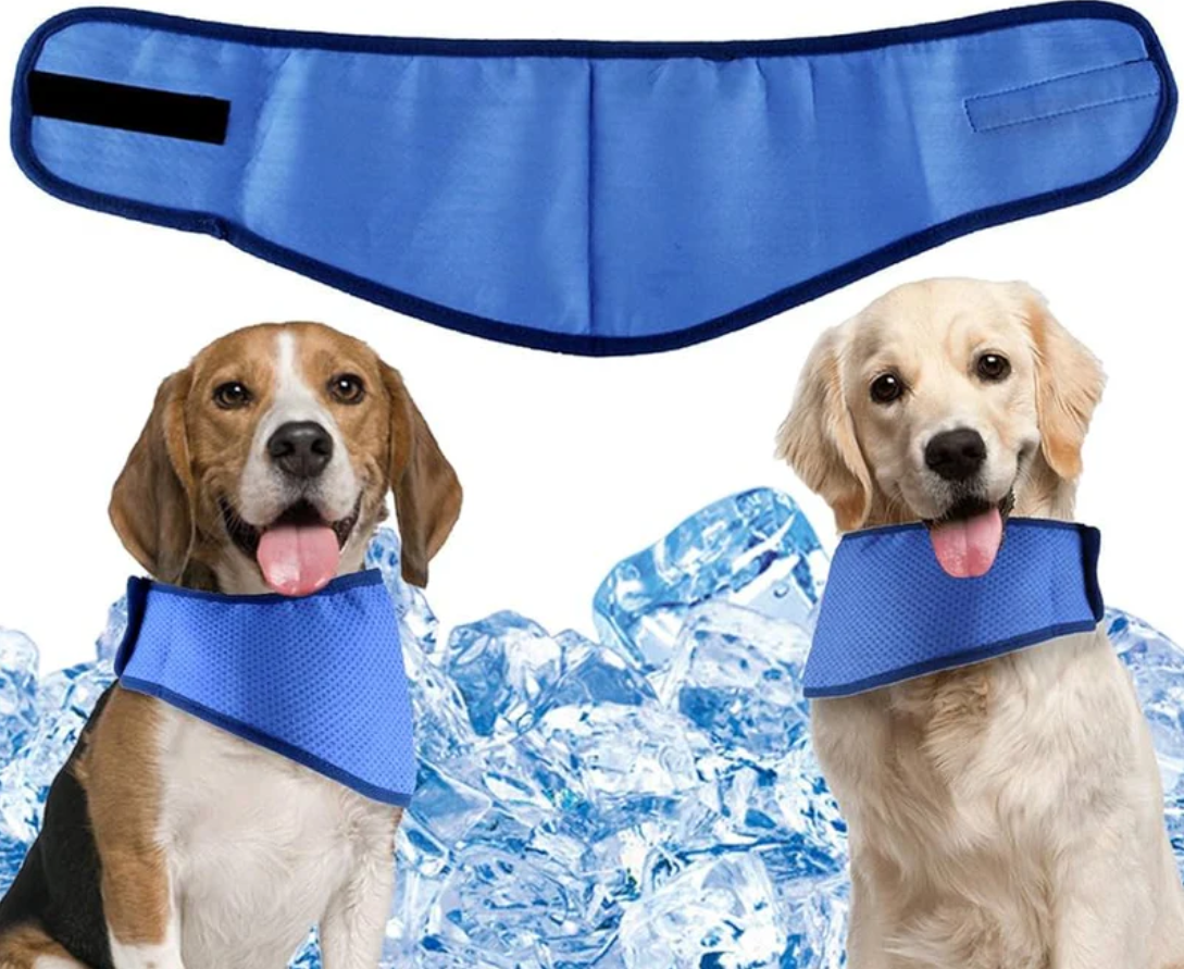 Cooling Pet Collar