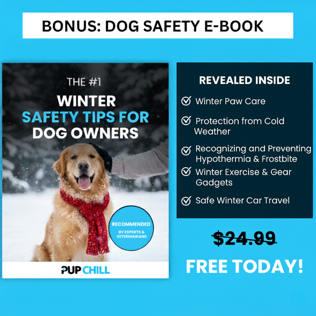 Winter Dog Harness