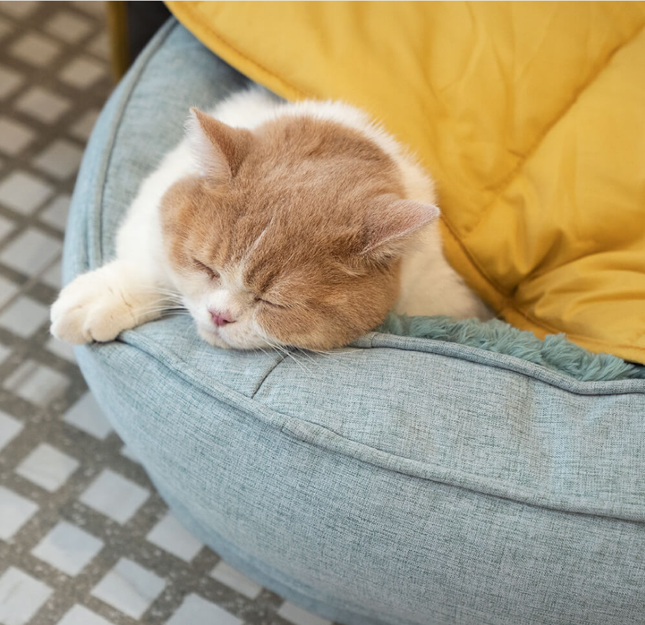 Leaf Shape Dog Blanket
