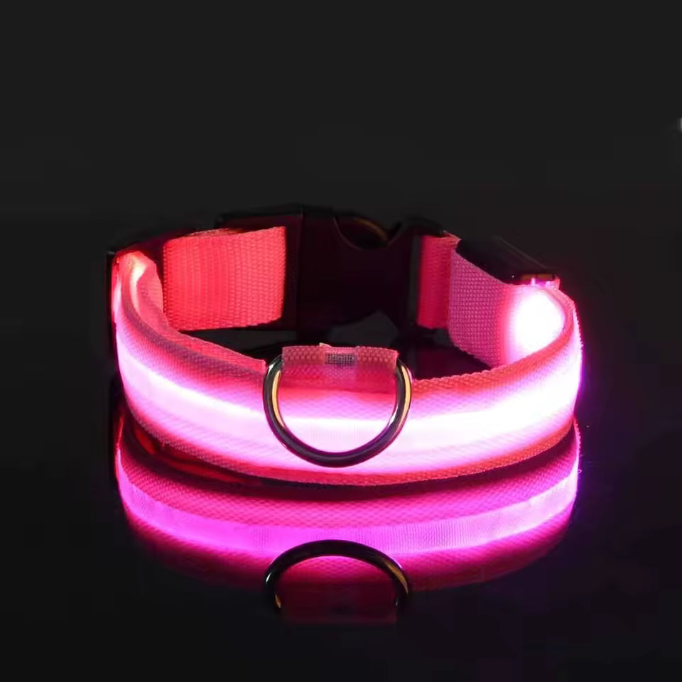 Night Safety LED Dog Leash