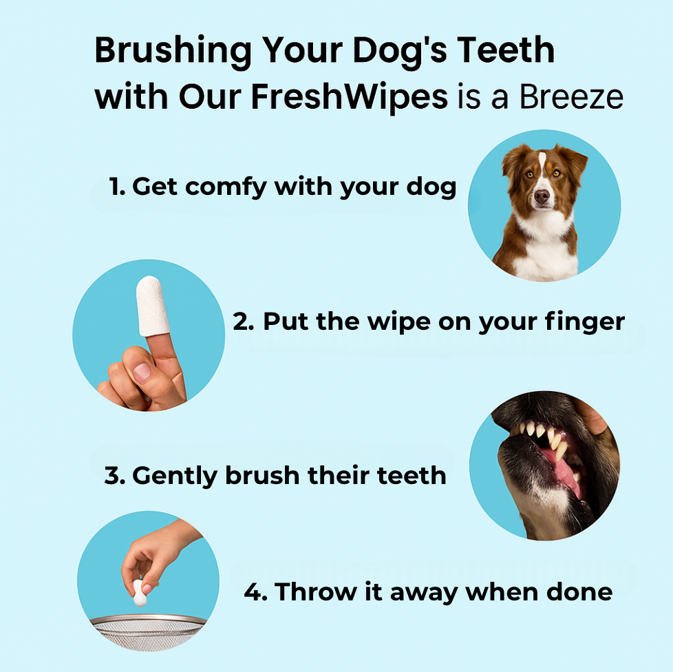 Pet Finger Dental Wipes