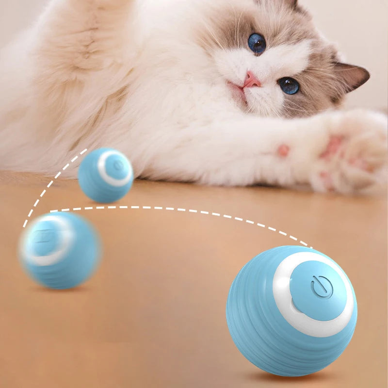 WhiskerWonder Cat Ball
