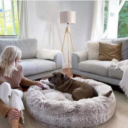 Calming Dog Bed