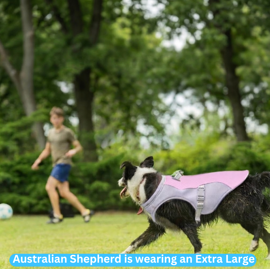 PupChill Cooling Vest