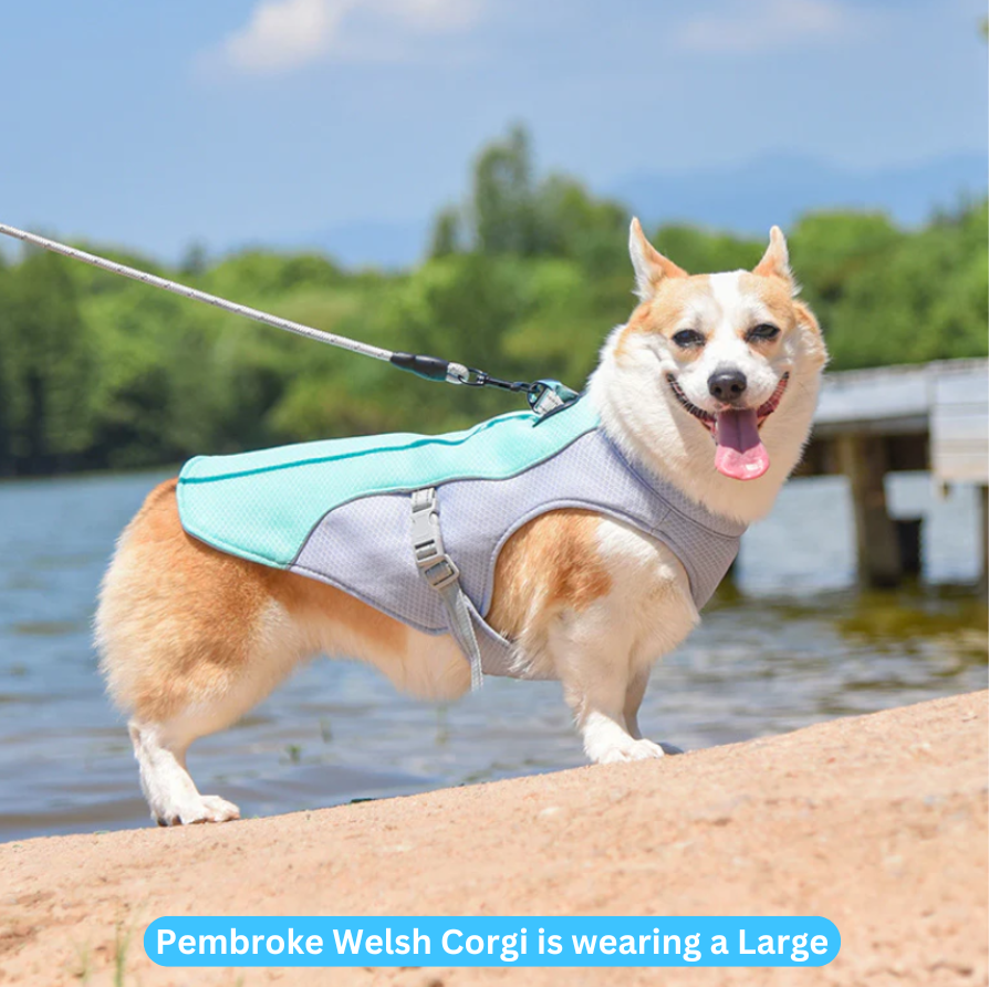 PupChill Cooling Vest