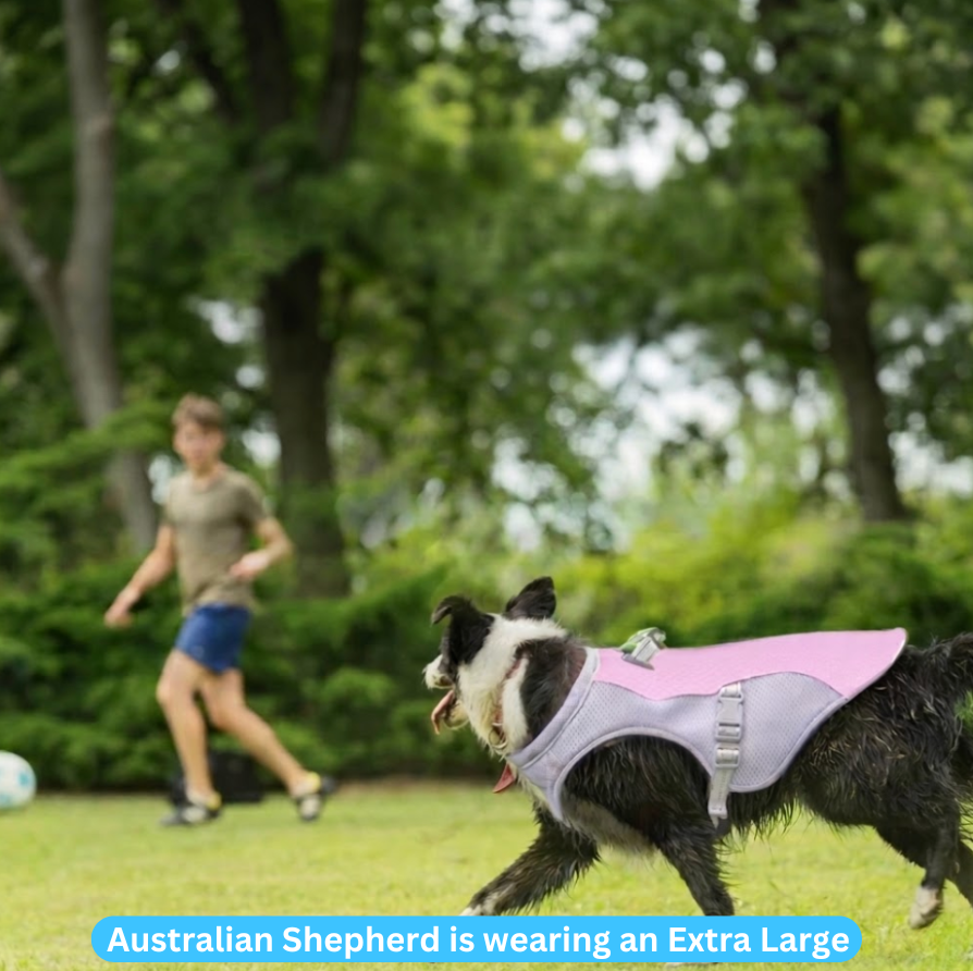 Dog Cooling Vest