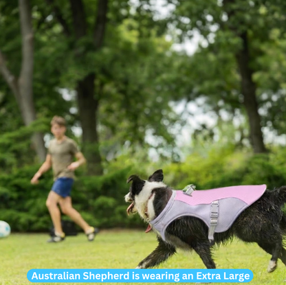 Dog Cooling Vest