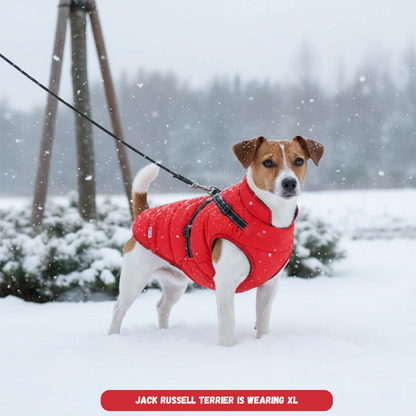 Winter Dog Harness