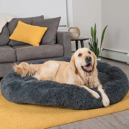 Calming Dog Bed