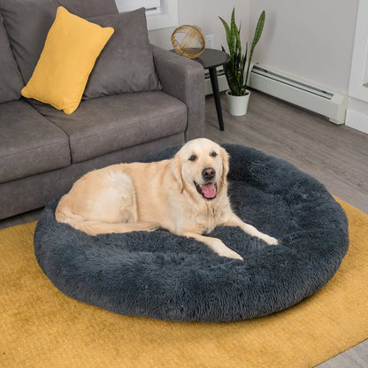 Calming Dog Bed