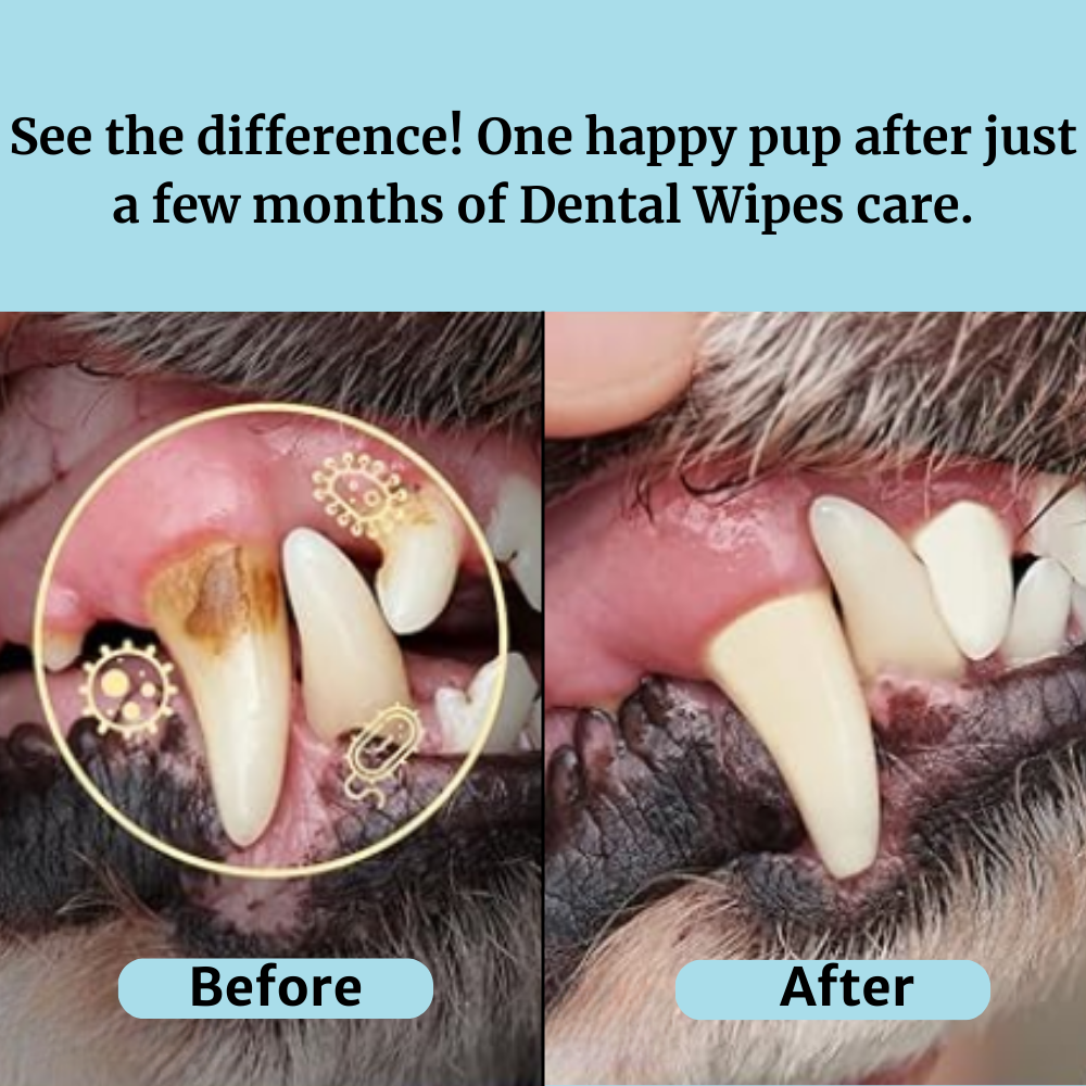 Pet Finger Dental Wipes