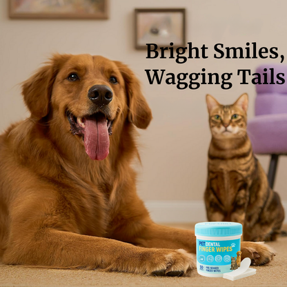 Pet Finger Dental Wipes