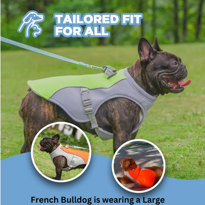 Dog Cooling Vest