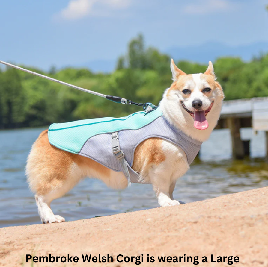 Dog Cooling Vest