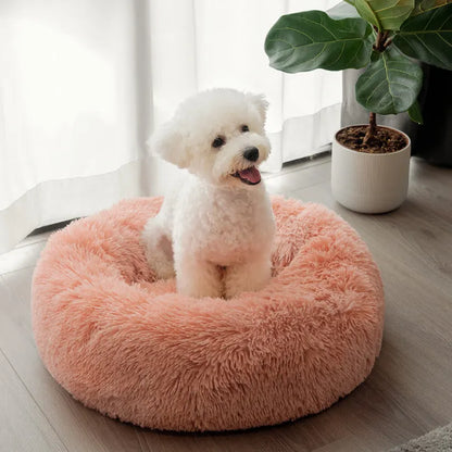 Calming Dog Bed