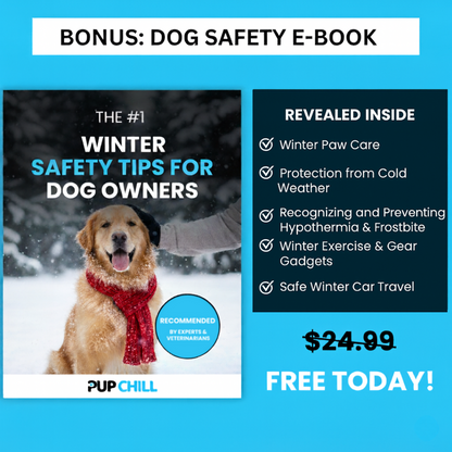 Winter Dog Harness