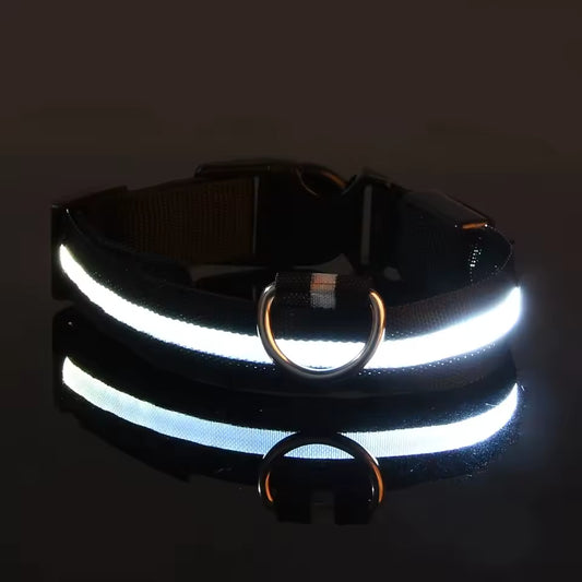 Night Safety LED Dog Leash
