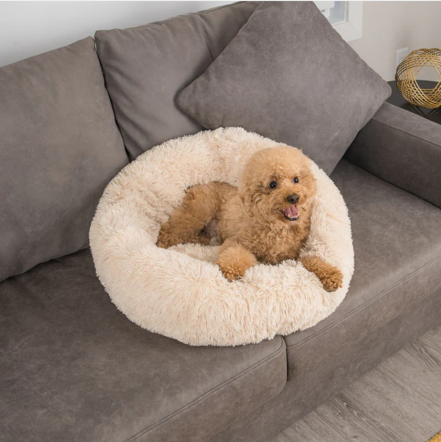 Calming Dog Bed