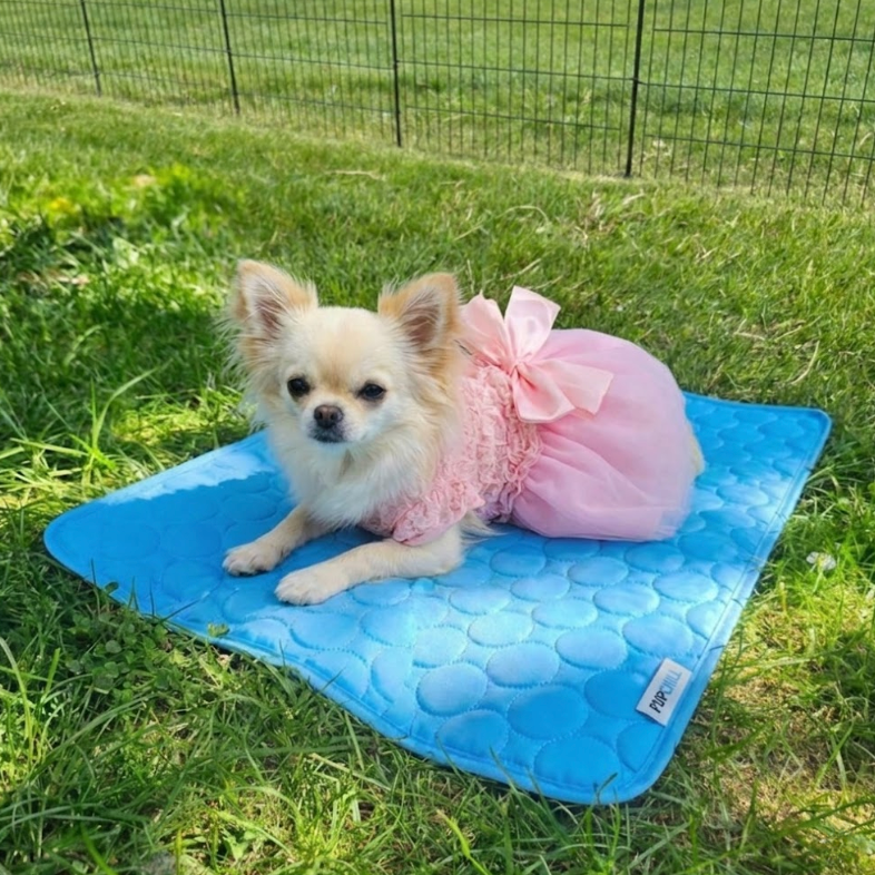 Daisy uses size M