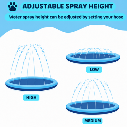 Dog Splash Pad