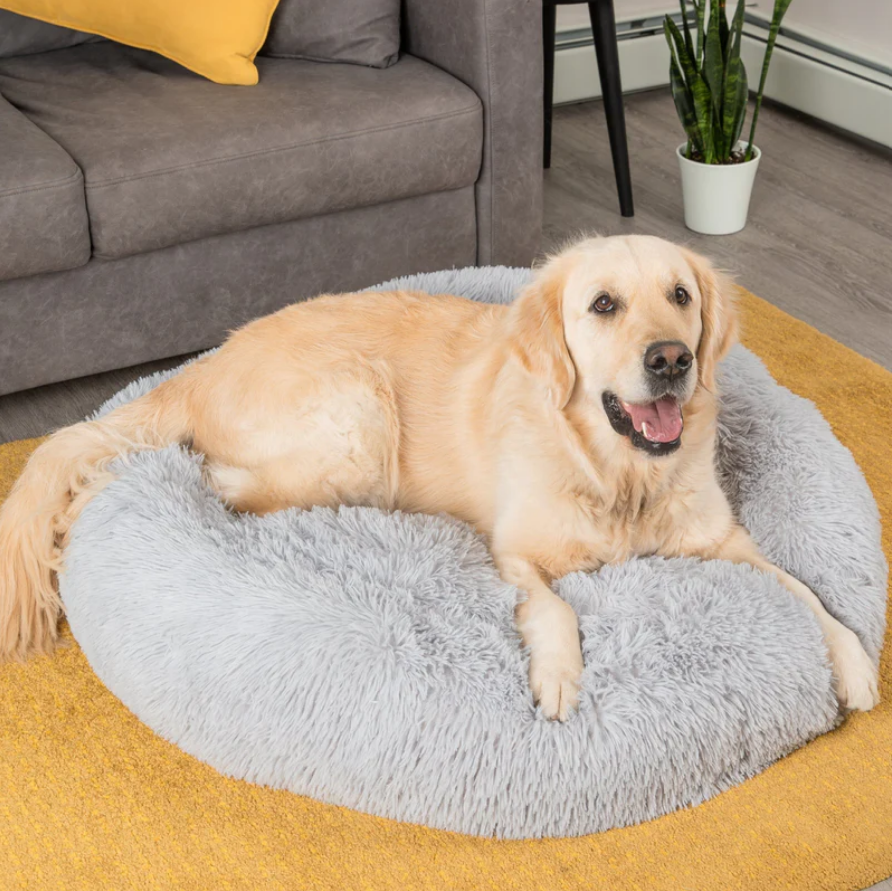 Calming Dog Bed