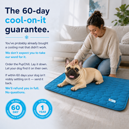 Pets Cooling Mat