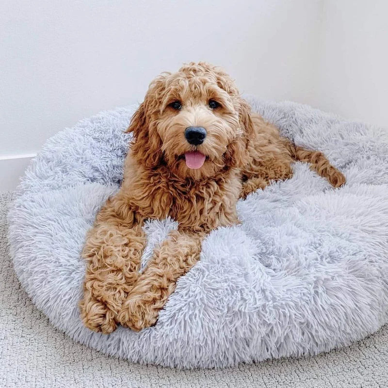 Calming Dog Bed