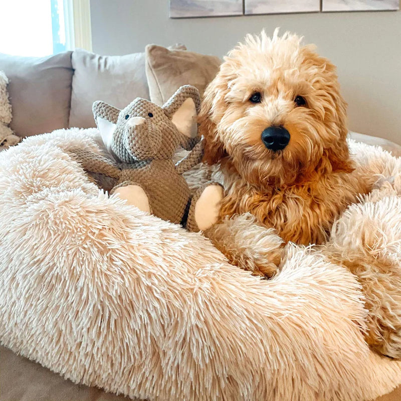 Calming Dog Bed